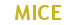 MICE