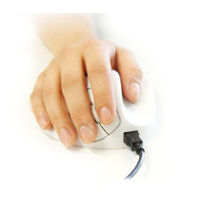Picture of a Hand on the HandShoe Mouse
