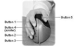 Evoluent VerticalMouse button designations